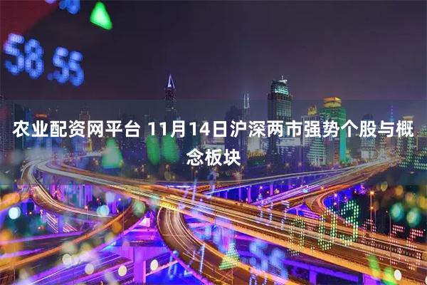 农业配资网平台 11月14日沪深两市强势个股与概念板块